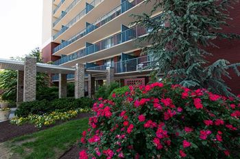 Steward tower oversize balconies